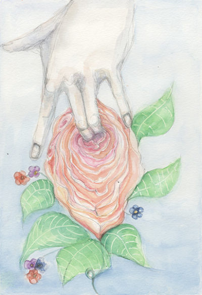 Flor