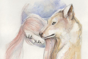 Lobo